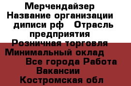 Мерчендайзер › Название организации ­ диписи.рф › Отрасль предприятия ­ Розничная торговля › Минимальный оклад ­ 25 000 - Все города Работа » Вакансии   . Костромская обл.